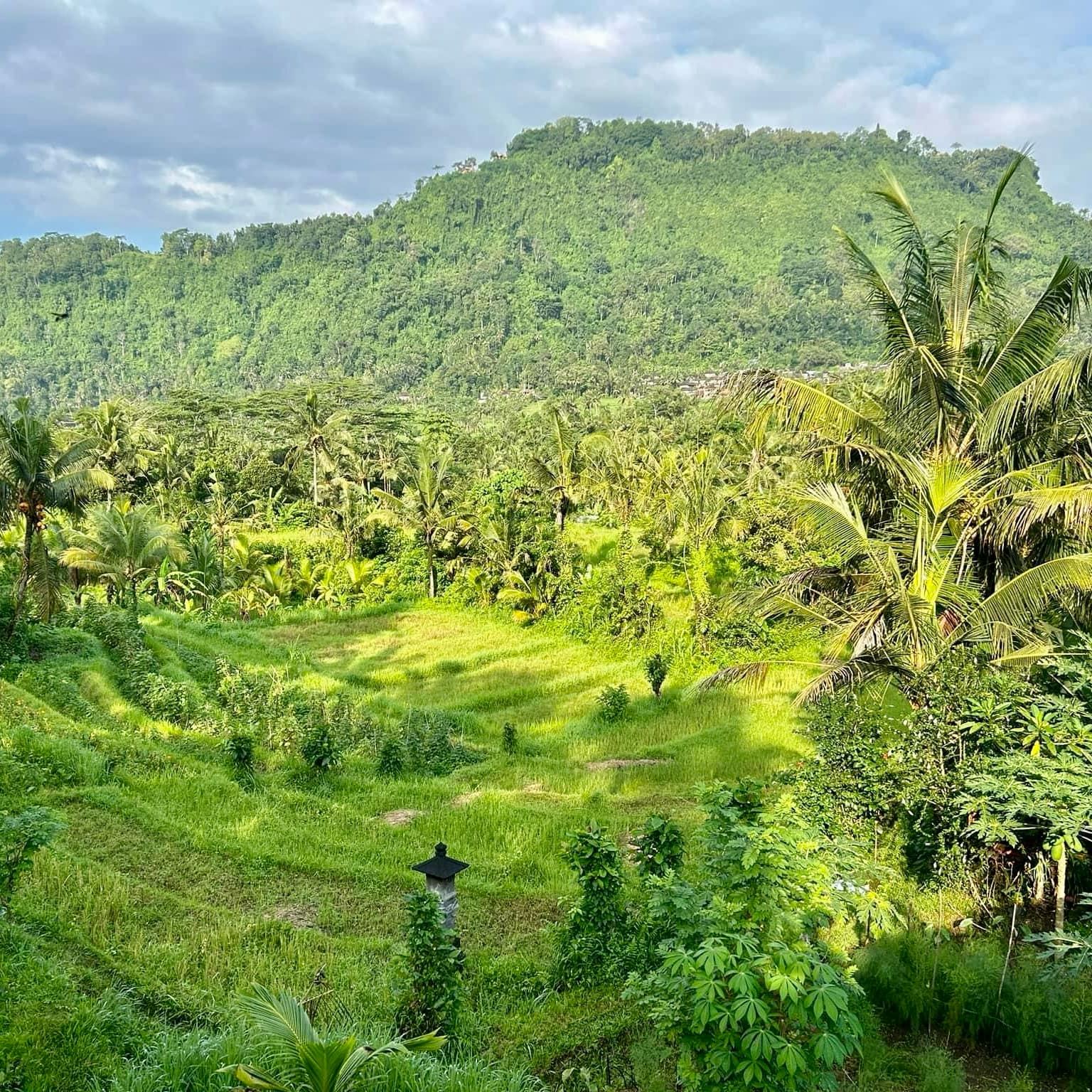 Bali off the Beaten Path: Exploring Sanur, Candidasa and Sidemen - with Kids!